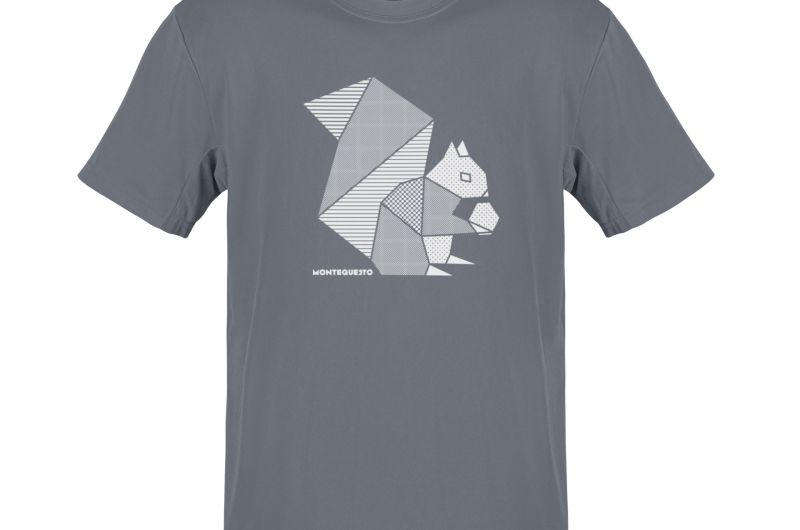 MQ EICHHÖRNCHEN- Pure Organic Shirt Herren - grau