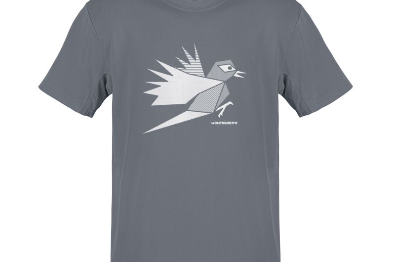 MQ SPECHT - Pure Organic Shirt Herren - grau
